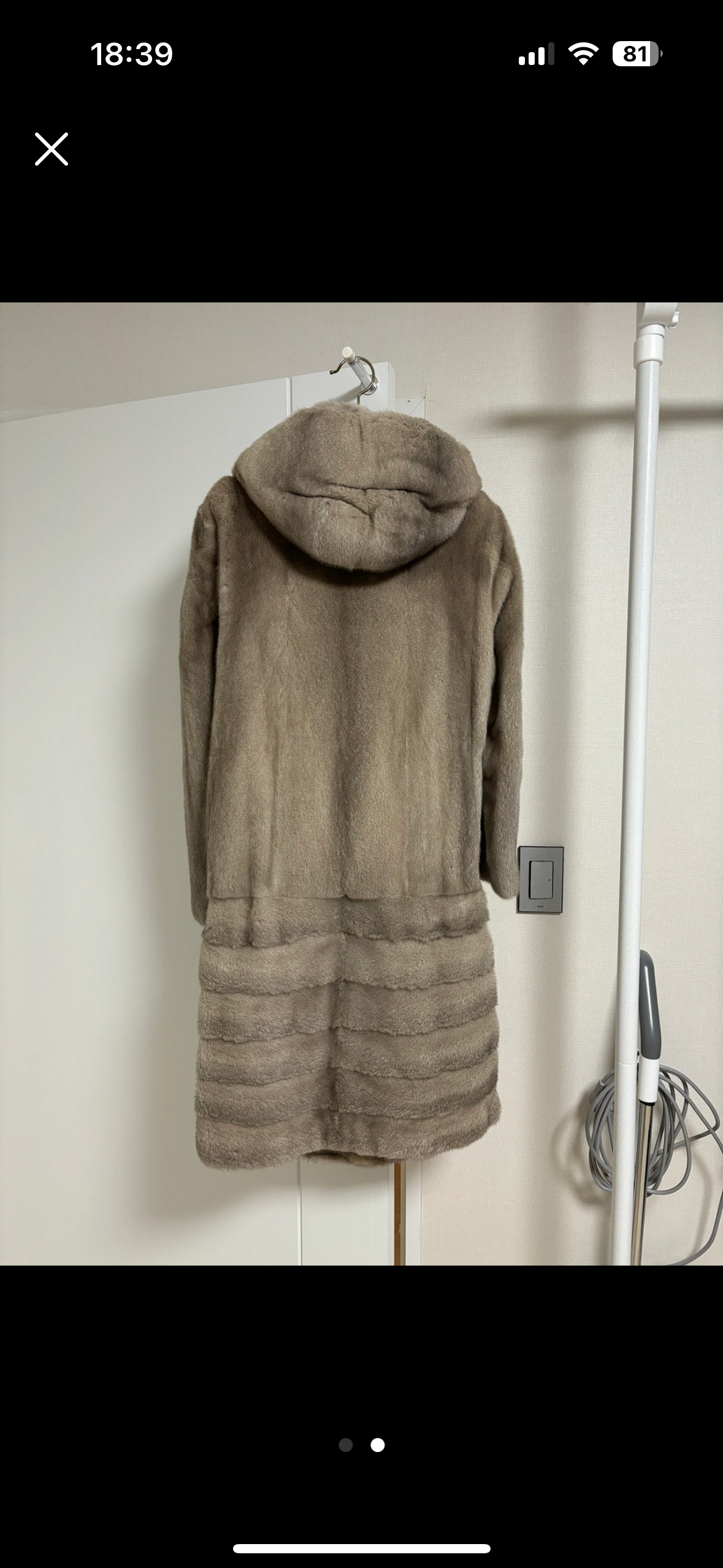 블루 아이리쉬 밍크