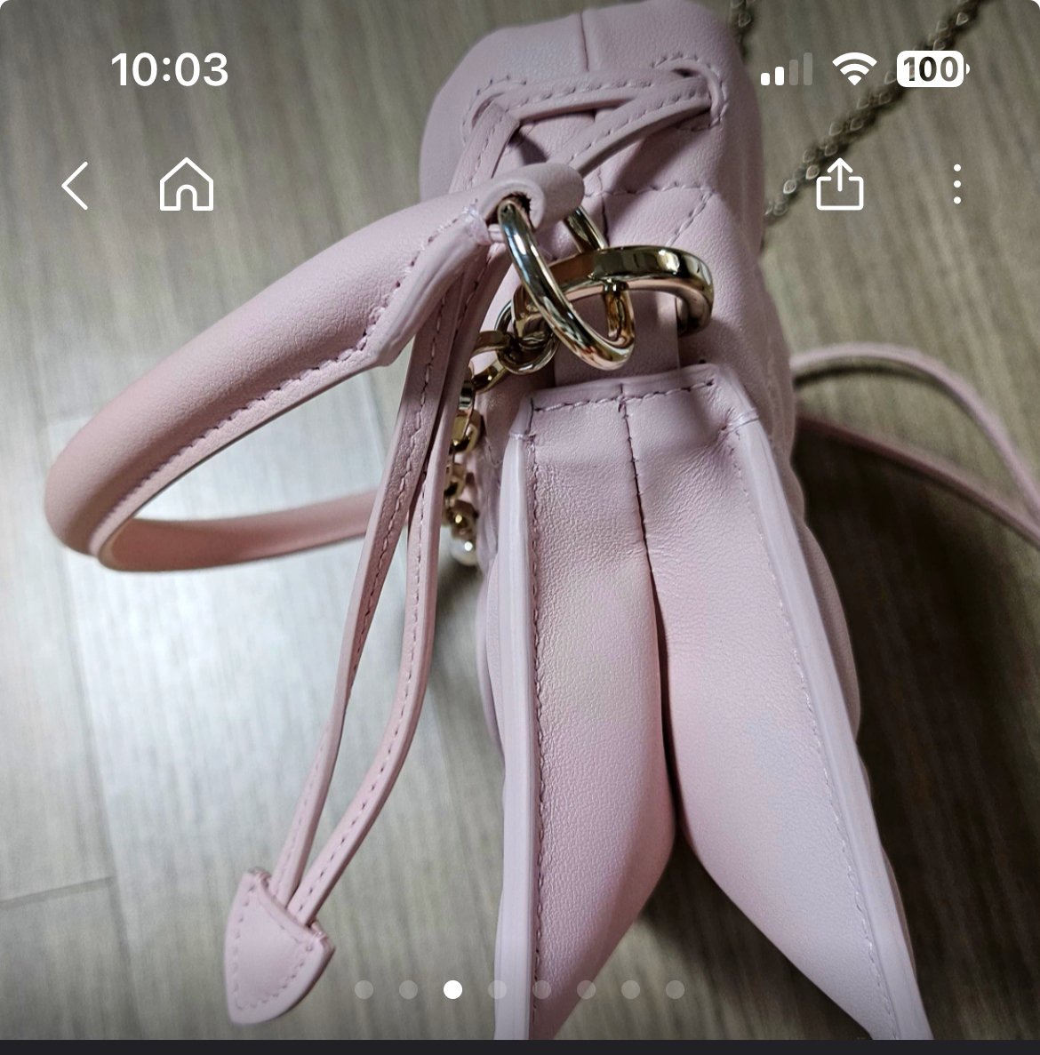 디올 밀리 미니백