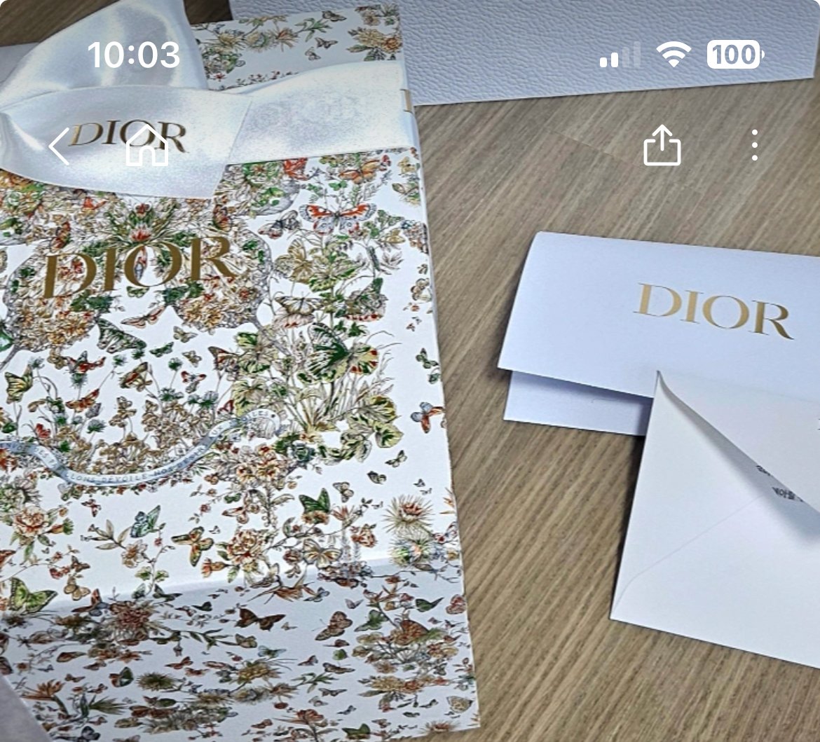 디올 밀리 미니백