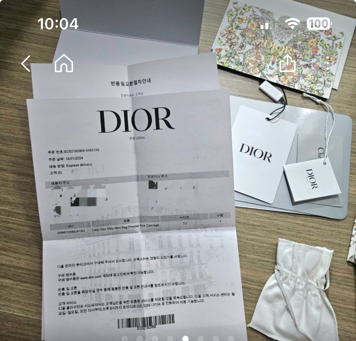 디올 밀리 미니백