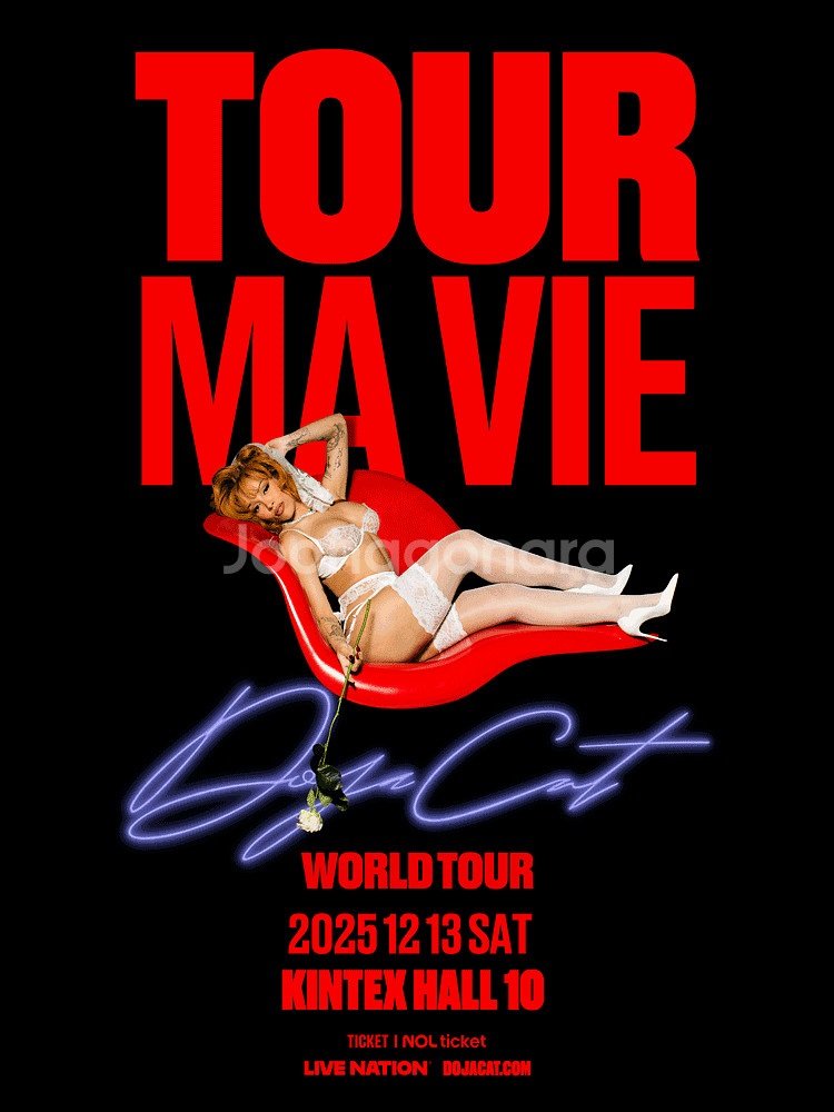 도자캣 2025 첫 내한공연 스탠딩,지정석 티켓양도