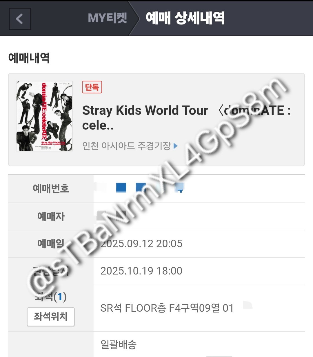 스키즈 콘서트 막콘 F4구역