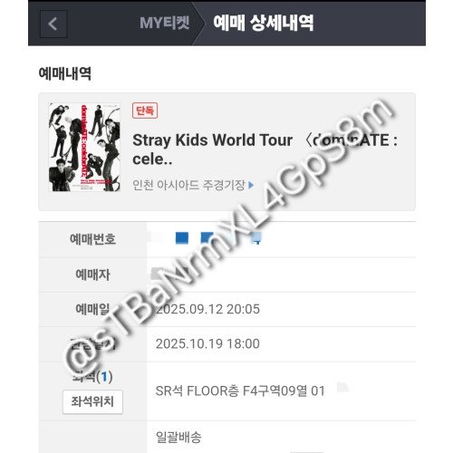 스키즈 콘서트 막콘 F4구역